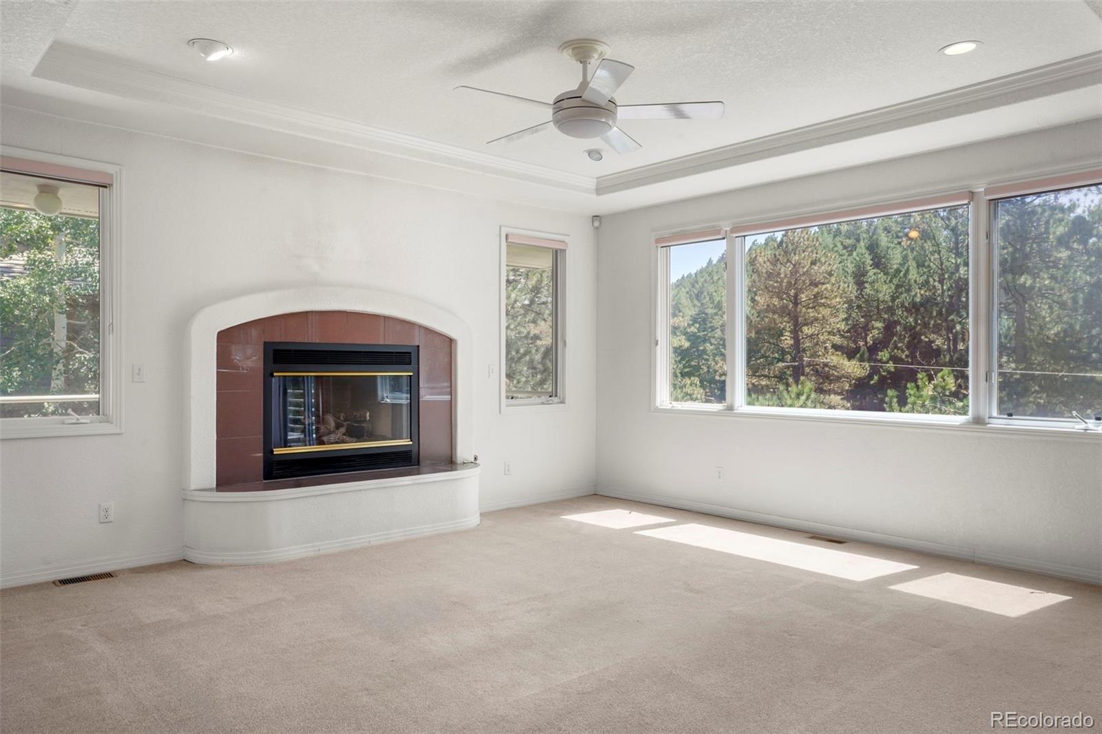 MLS Image #15 for 22148  red hawk lane,golden, Colorado