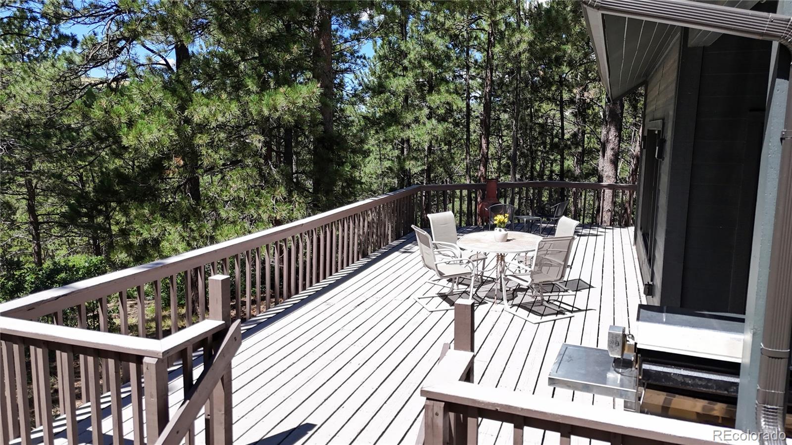 MLS Image #23 for 4147  larkspur lane,larkspur, Colorado