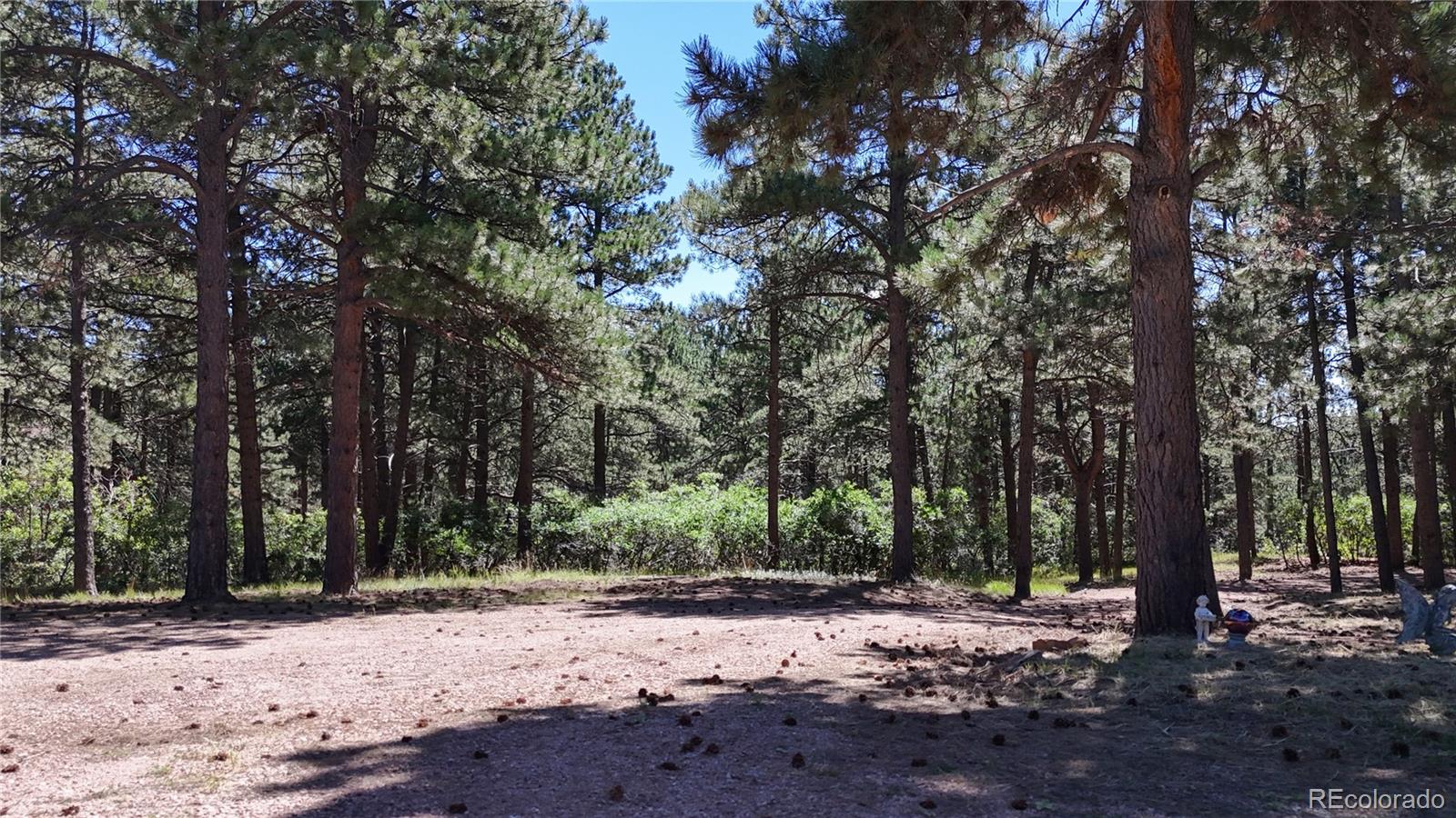 MLS Image #32 for 4147  larkspur lane,larkspur, Colorado