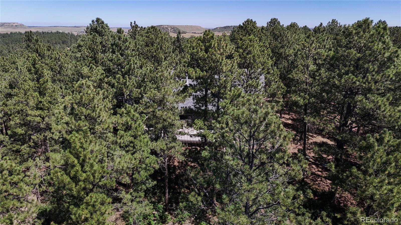 MLS Image #38 for 4147  larkspur lane,larkspur, Colorado