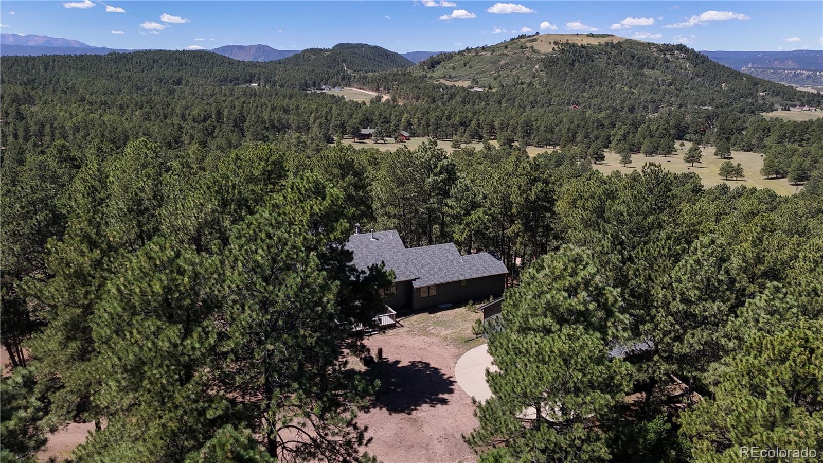 MLS Image #42 for 4147  larkspur lane,larkspur, Colorado