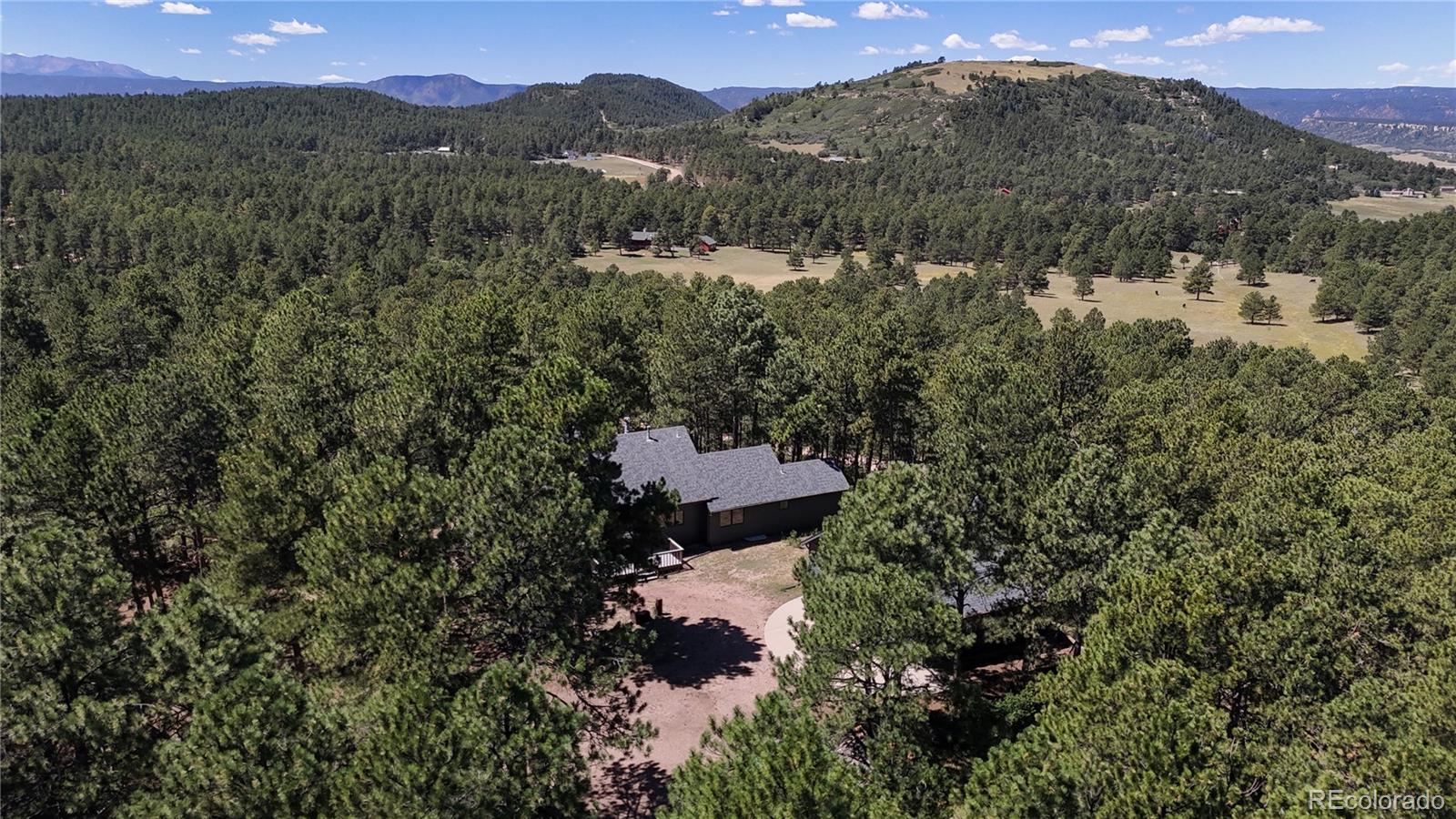 MLS Image #44 for 4147  larkspur lane,larkspur, Colorado