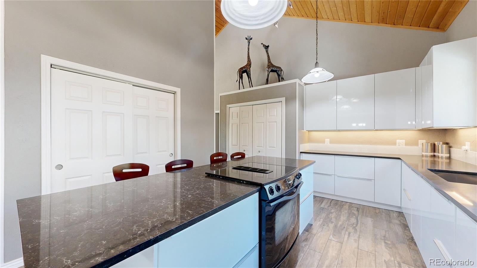 MLS Image #7 for 4147  larkspur lane,larkspur, Colorado
