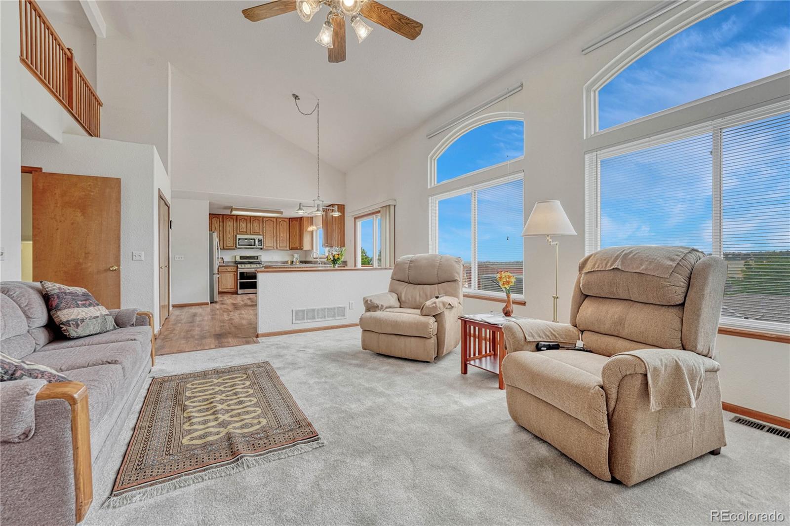 MLS Image #20 for 1515  bison ridge drive,colorado springs, Colorado