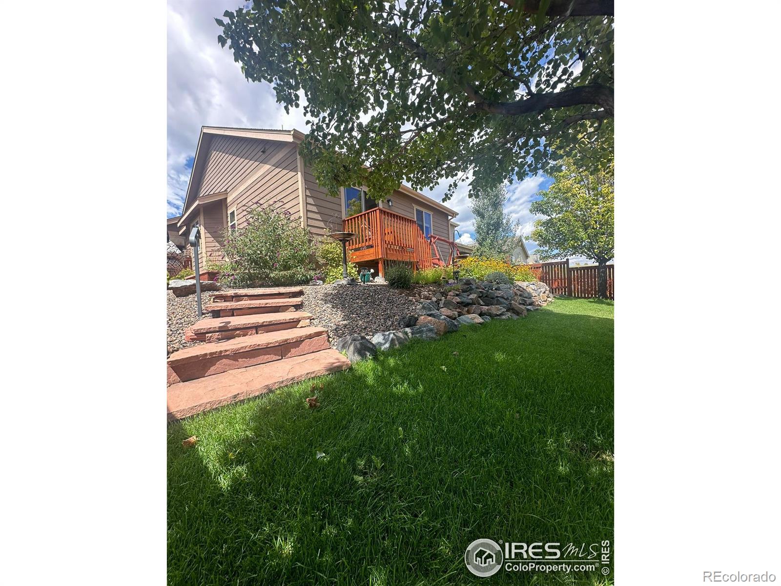 MLS Image #2 for 4468  radford avenue,loveland, Colorado