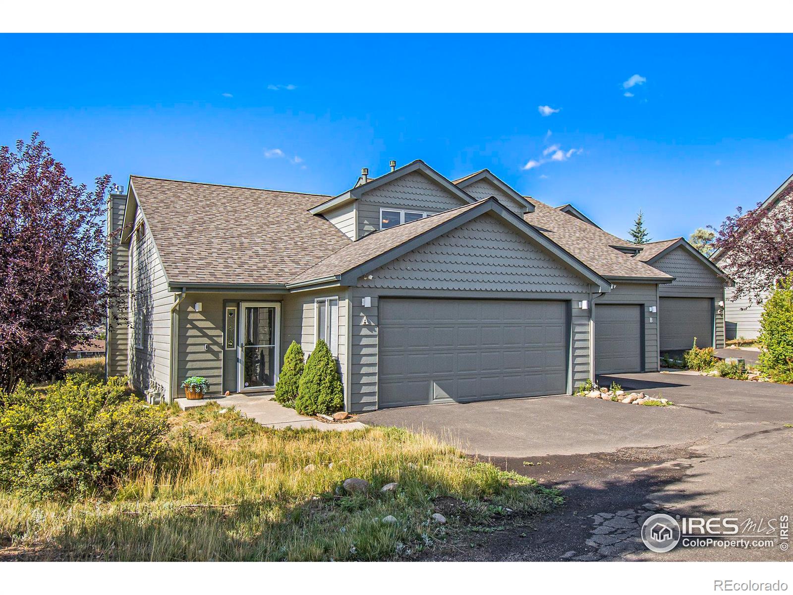 MLS Image #0 for 1360  raven circle,estes park, Colorado