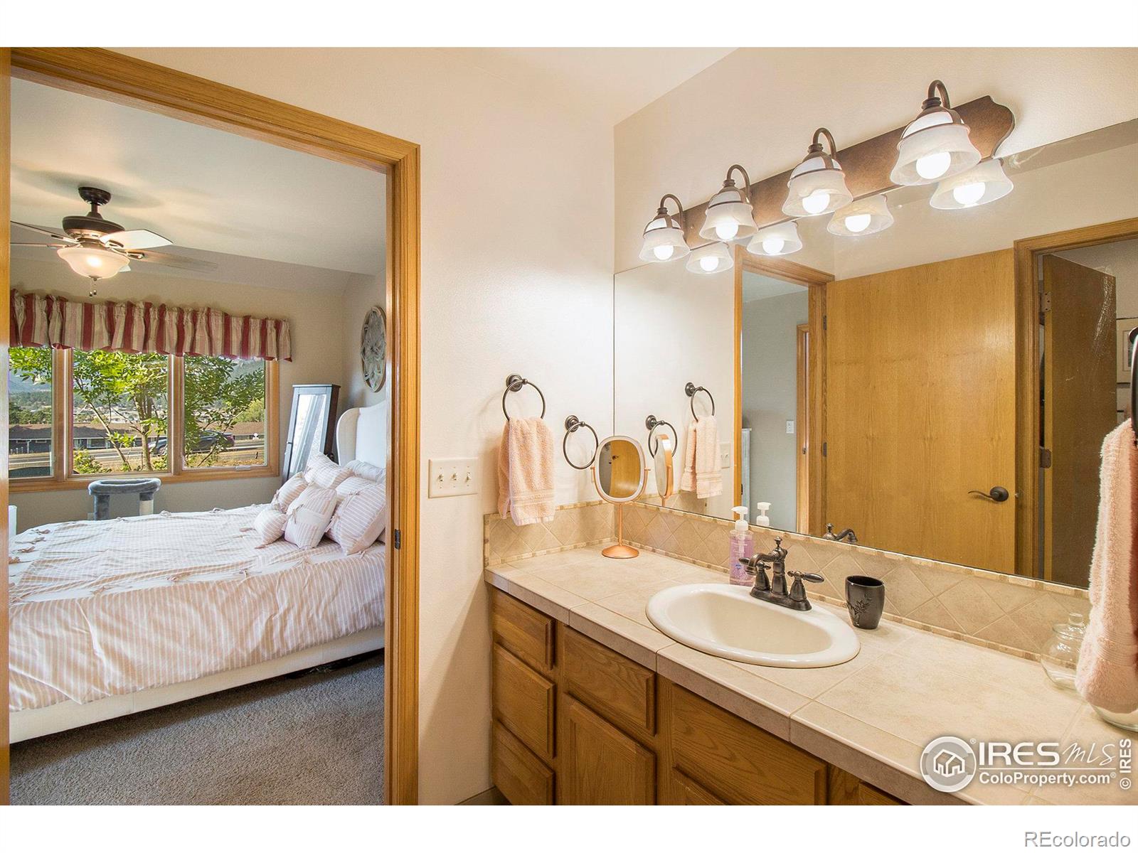 MLS Image #13 for 1360  raven circle,estes park, Colorado