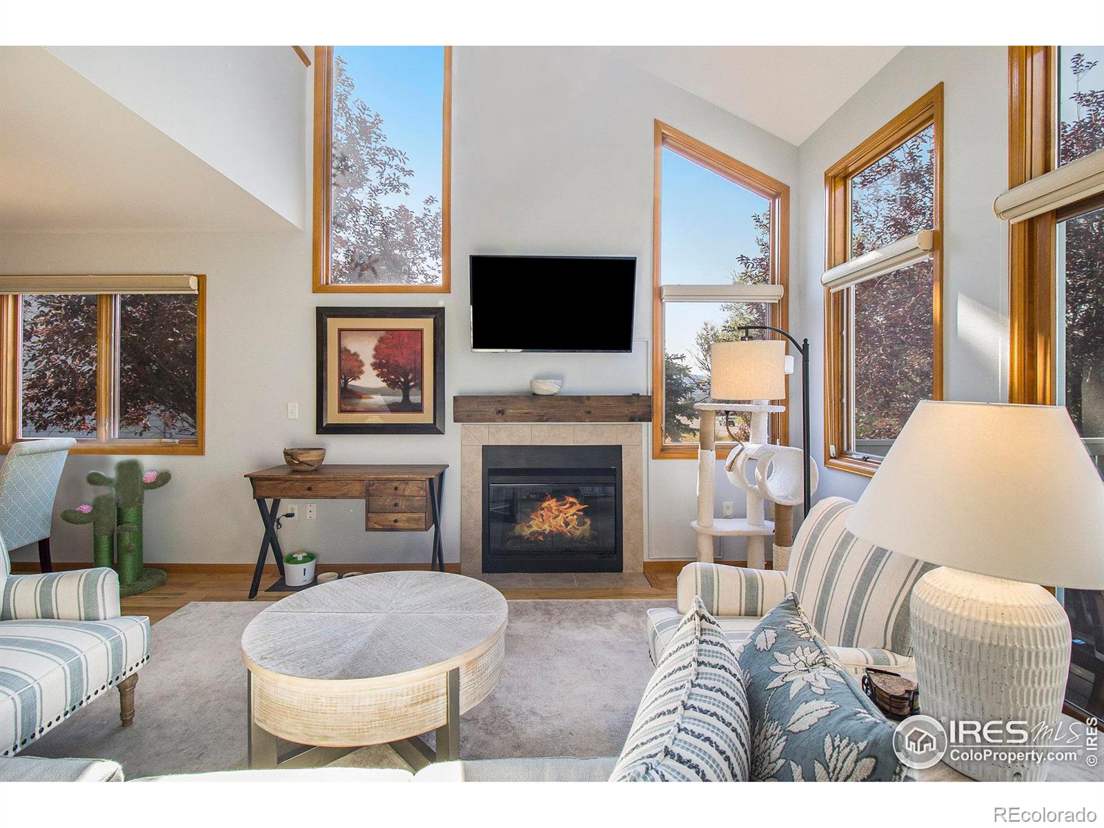 MLS Image #4 for 1360  raven circle,estes park, Colorado