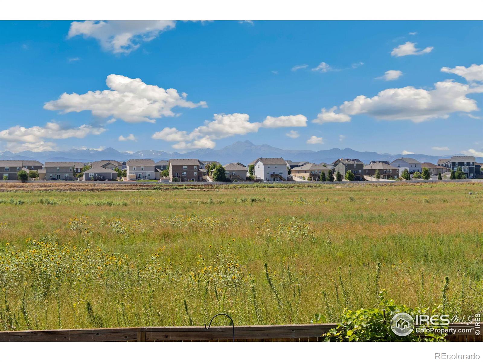 MLS Image #24 for 10323  cherryvale street,firestone, Colorado