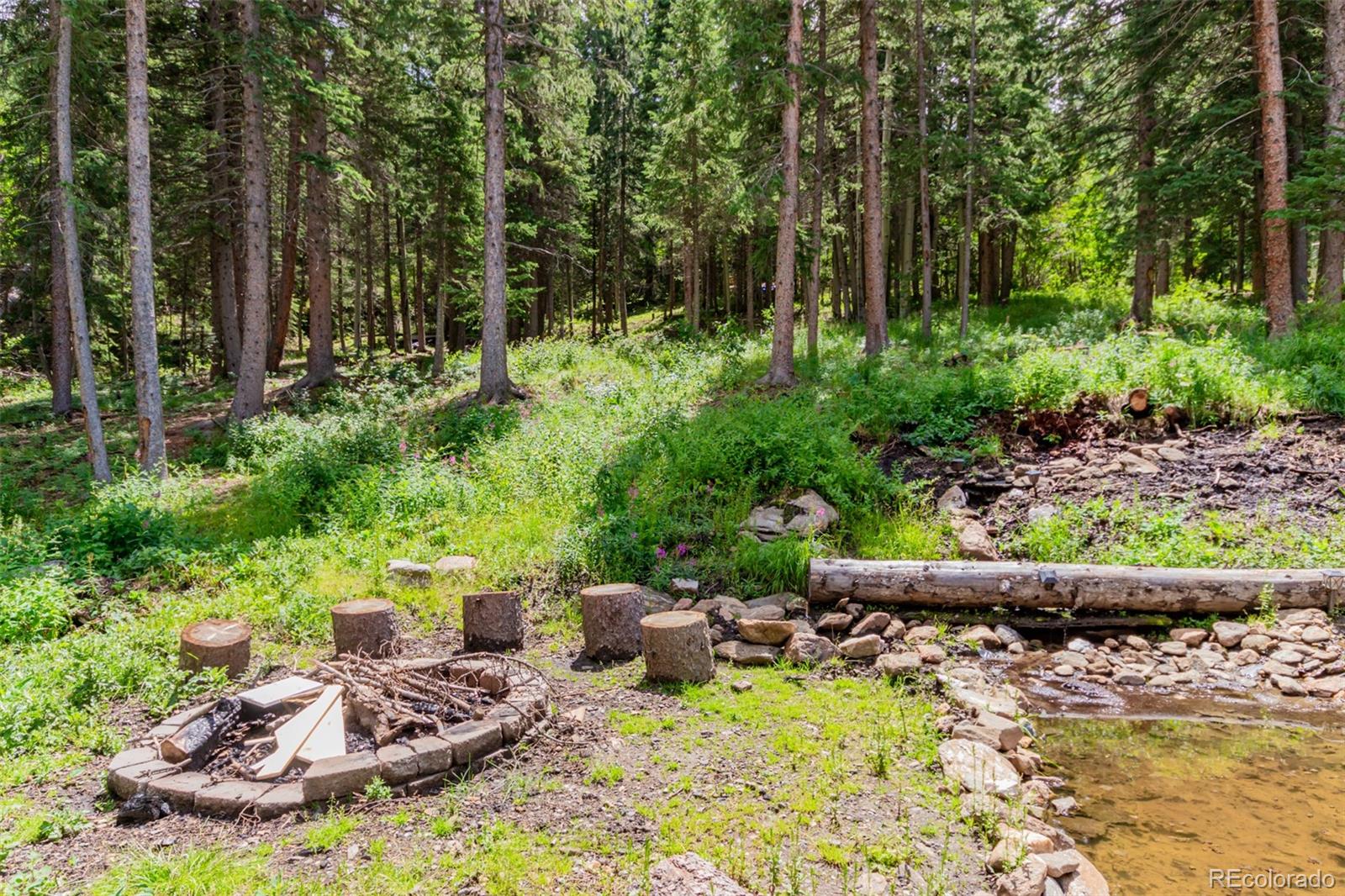 MLS Image #3 for 286  ridgeview trail,idaho springs, Colorado