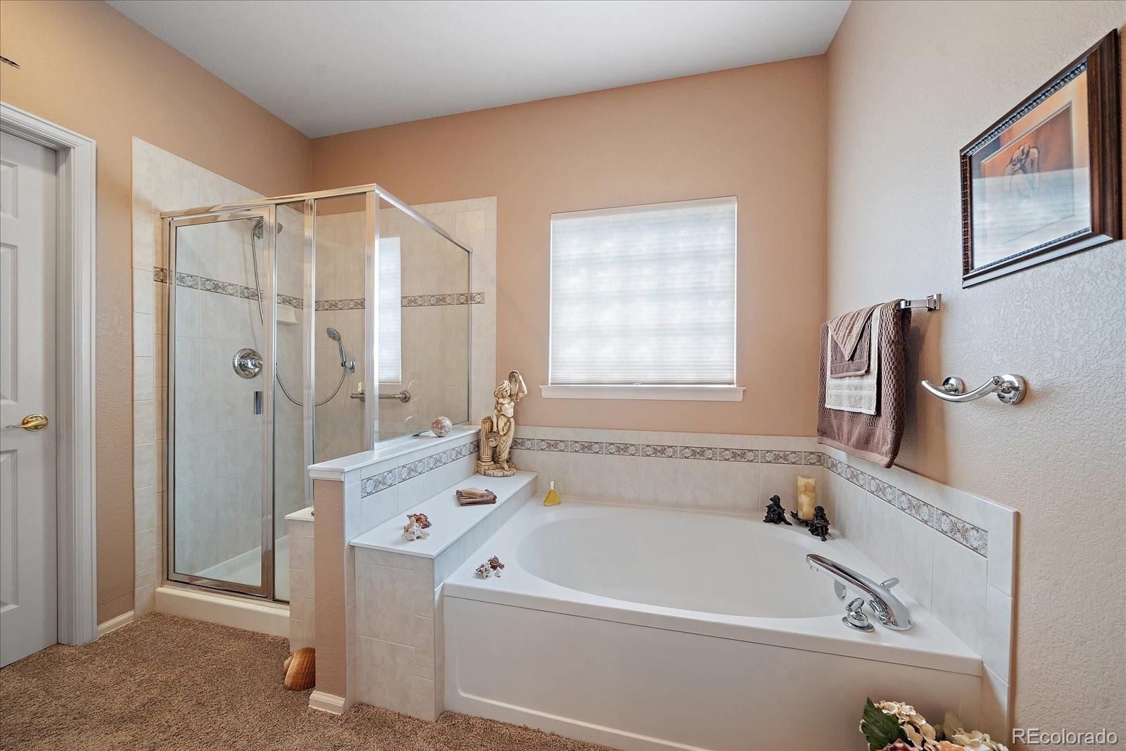 MLS Image #23 for 23469 e canyon place,aurora, Colorado