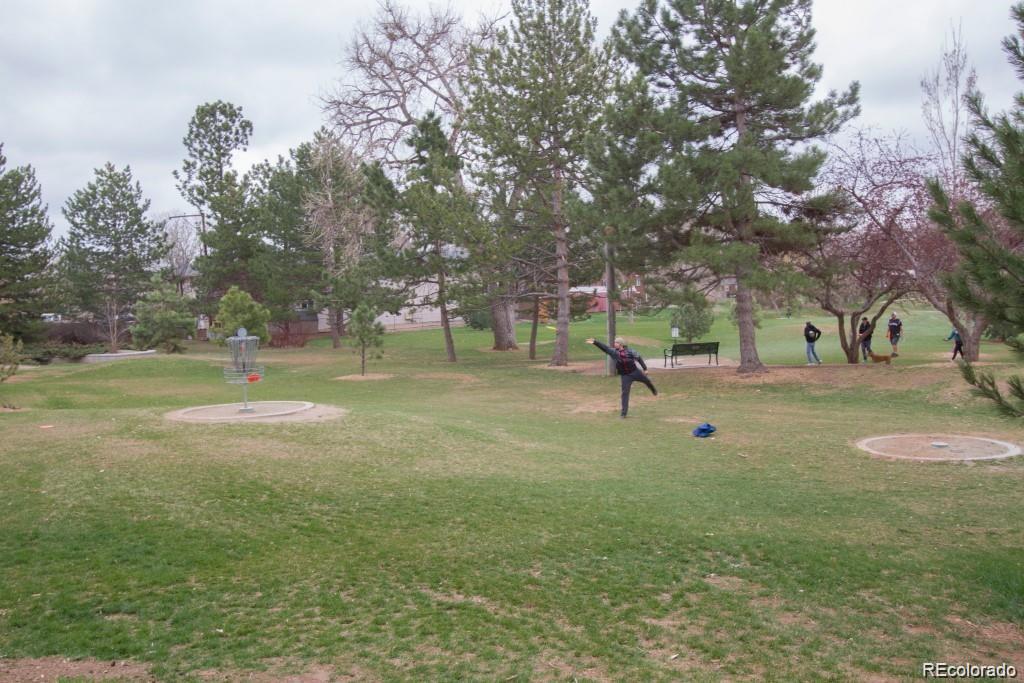 MLS Image #28 for 6068  balsam street,arvada, Colorado