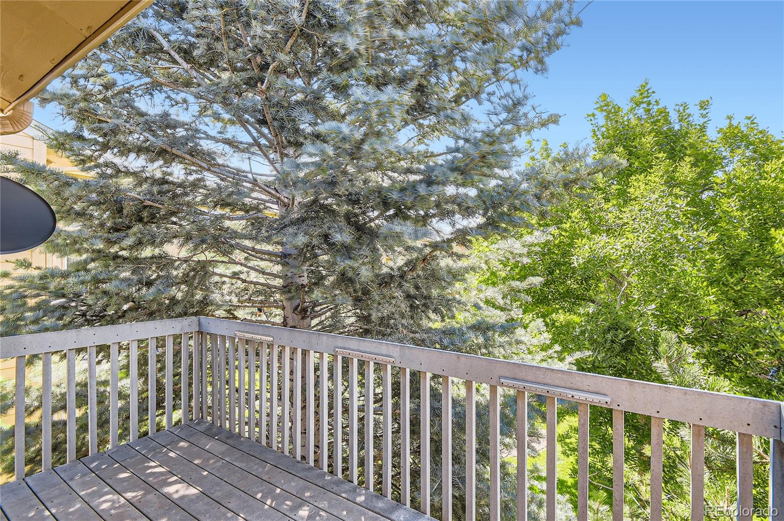 MLS Image #14 for 224 s oman road,castle rock, Colorado