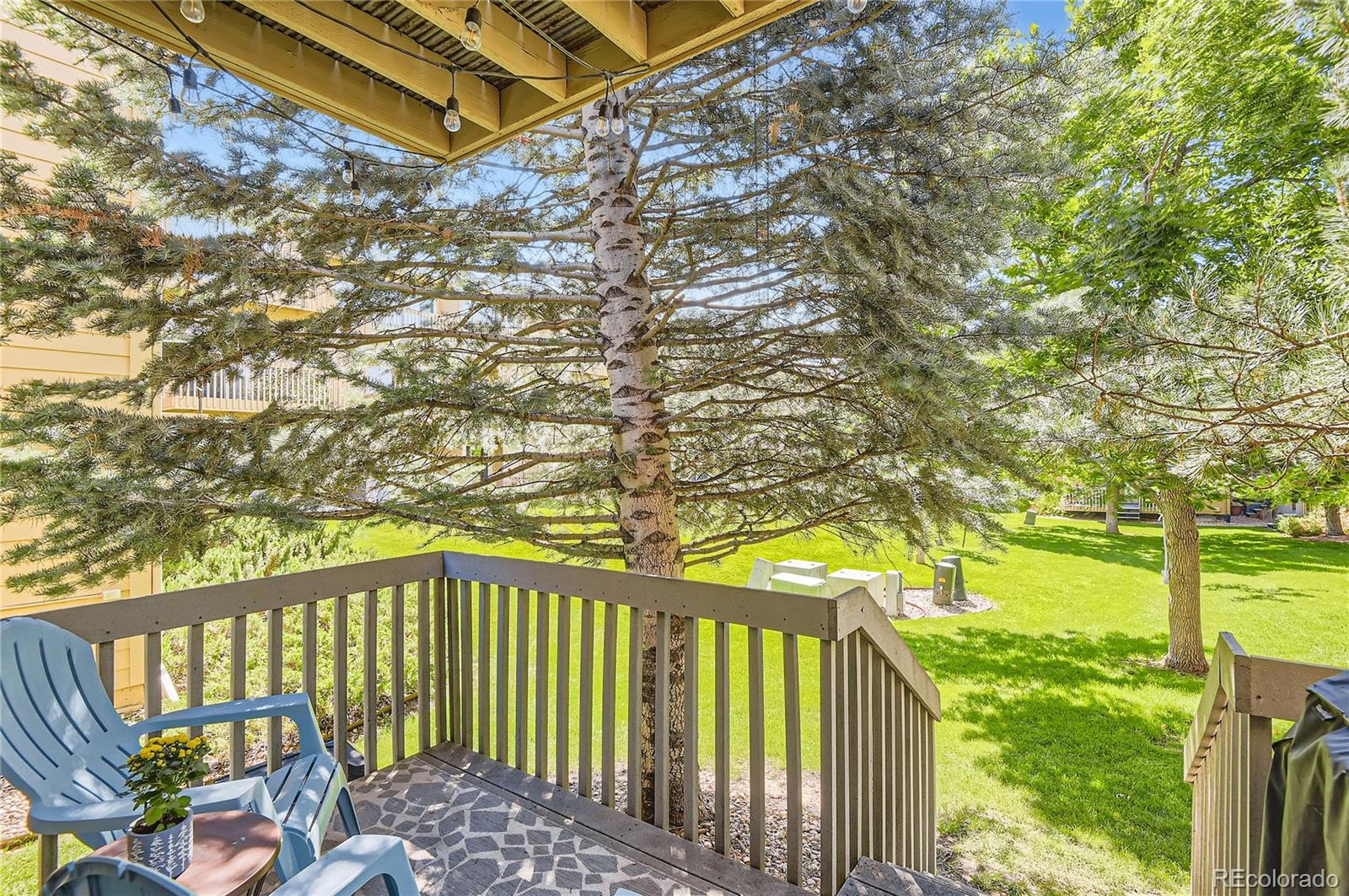 MLS Image #2 for 224 s oman road,castle rock, Colorado