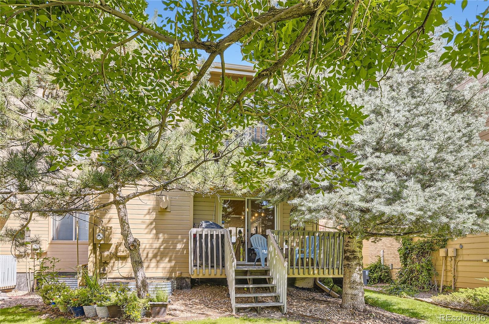 MLS Image #25 for 224 s oman road,castle rock, Colorado