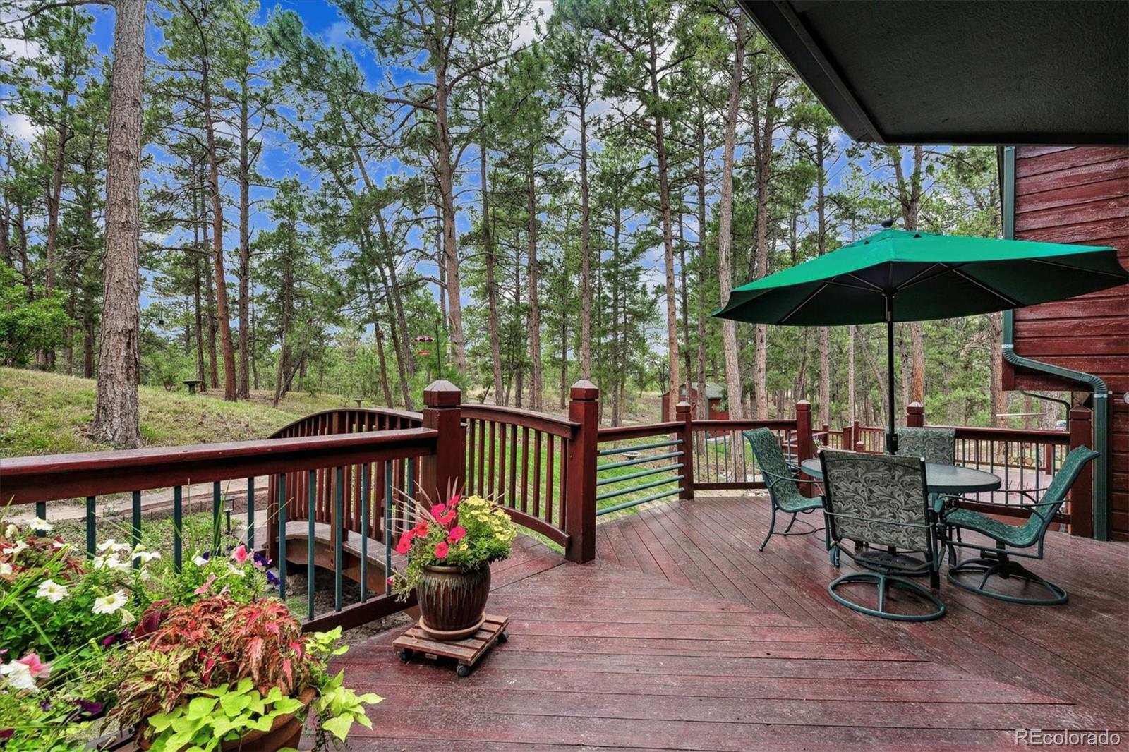 MLS Image #38 for 1045  deerpath road,franktown, Colorado