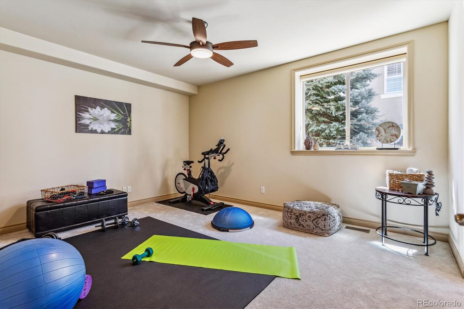 MLS Image #31 for 3629  eveningglow way,castle rock, Colorado