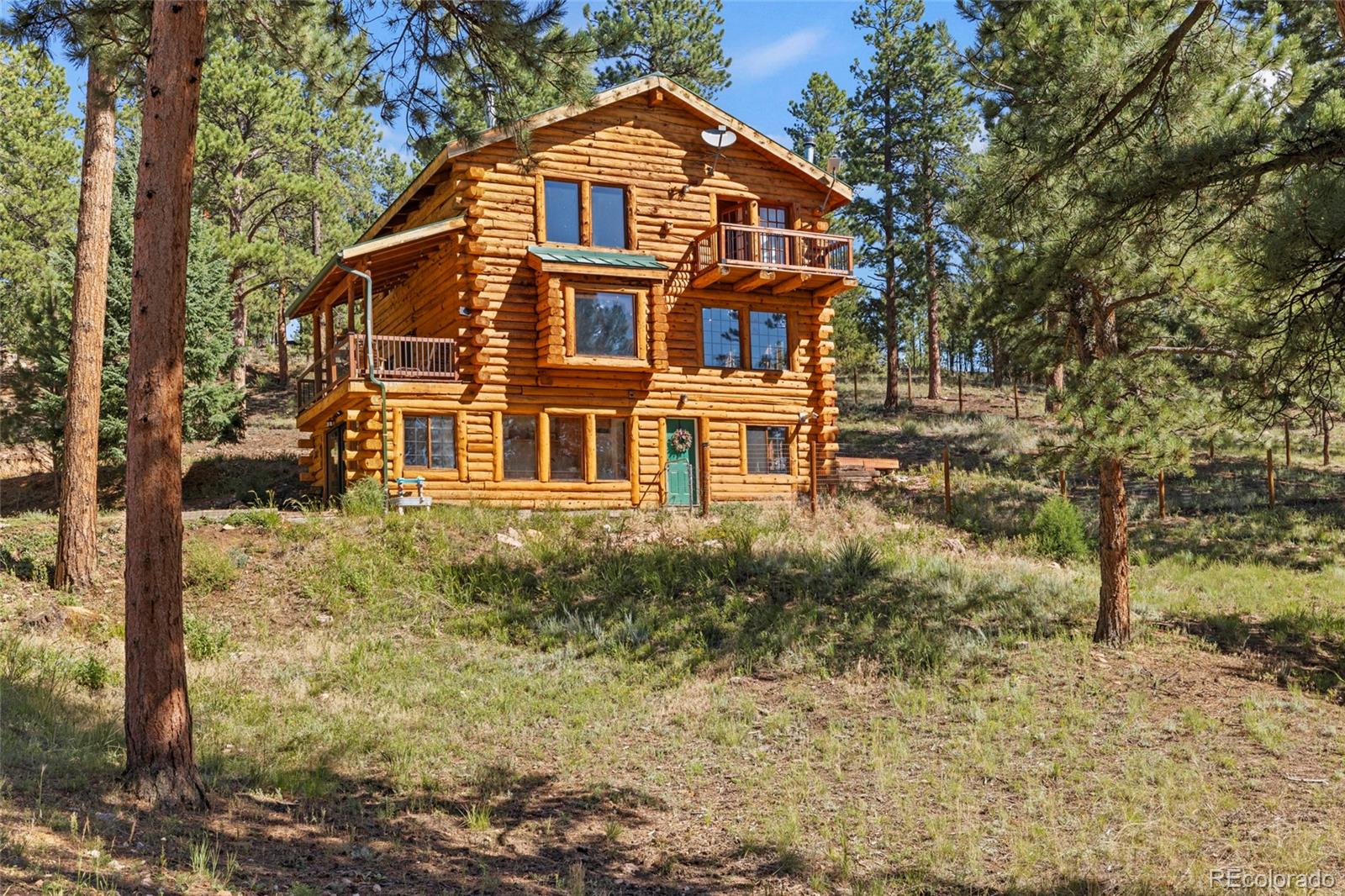 MLS Image #0 for 310  holmes gulch road,bailey, Colorado