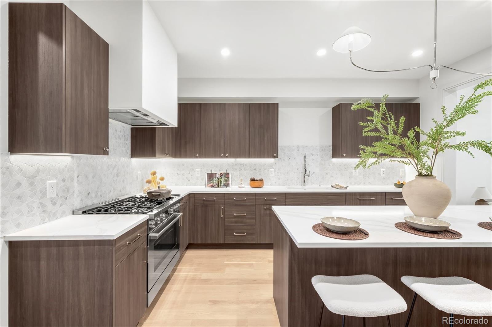 MLS Image #13 for 556  monroe street,denver, Colorado