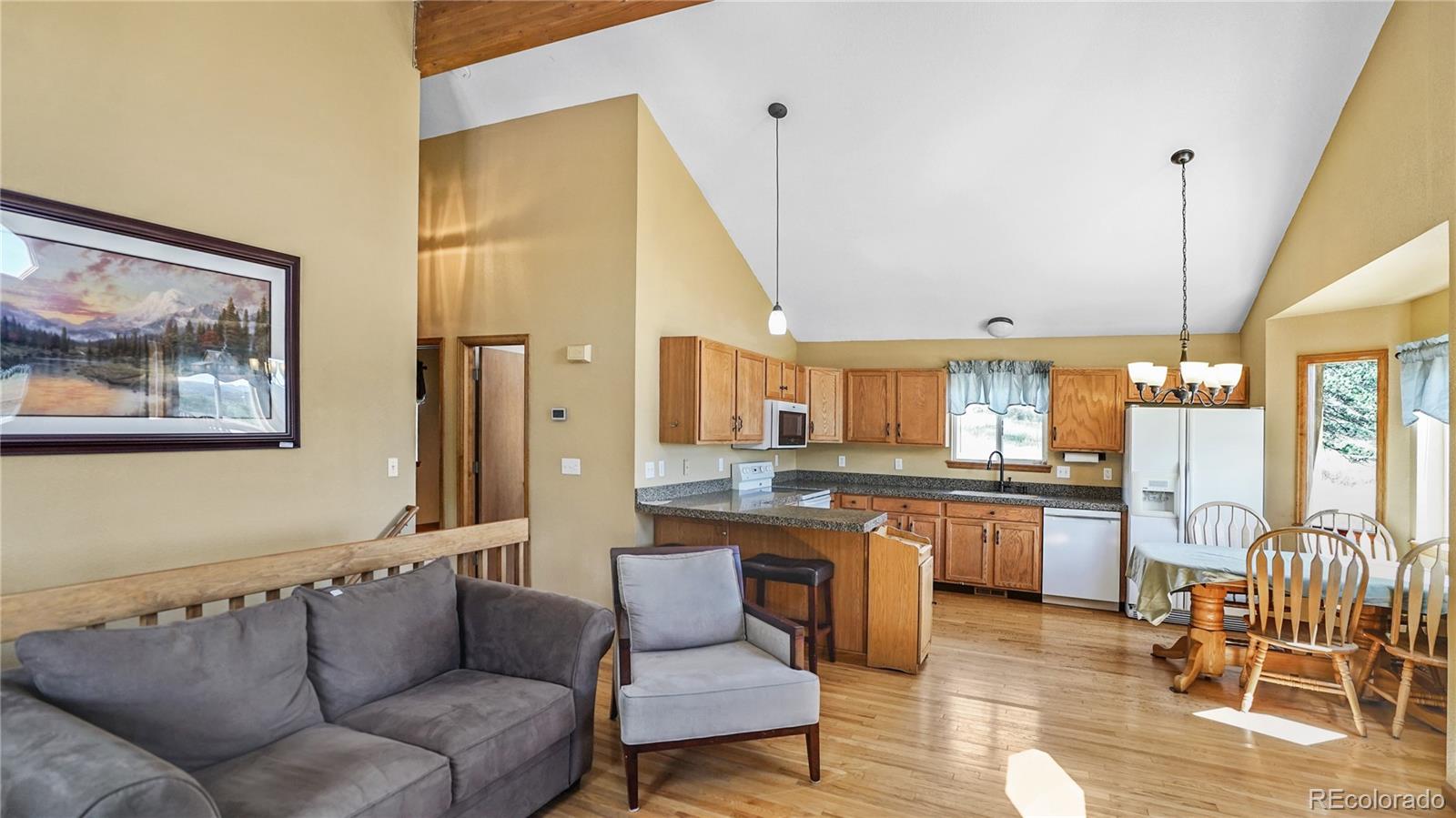 MLS Image #6 for 344 n pine drive,bailey, Colorado