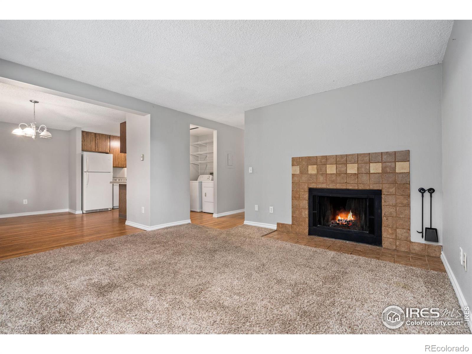 MLS Image #10 for 710  city park avenue,fort collins, Colorado