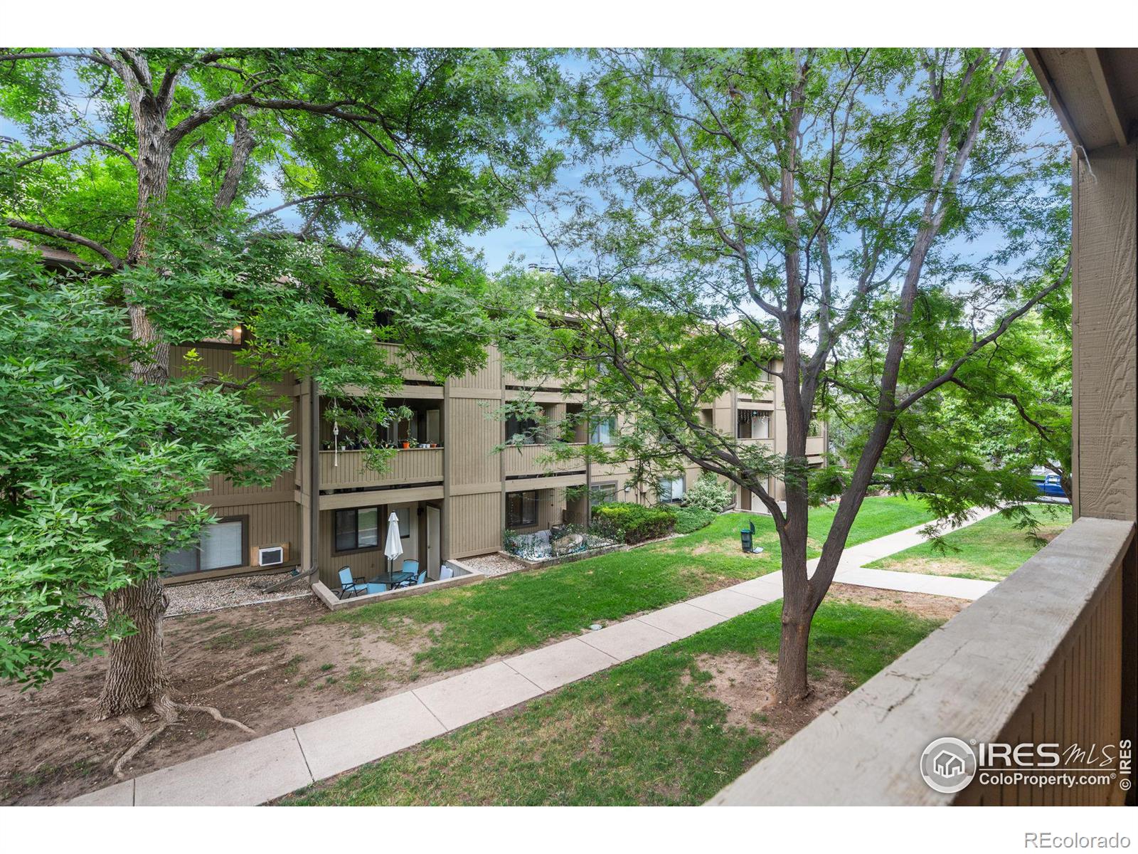 MLS Image #2 for 710  city park avenue,fort collins, Colorado