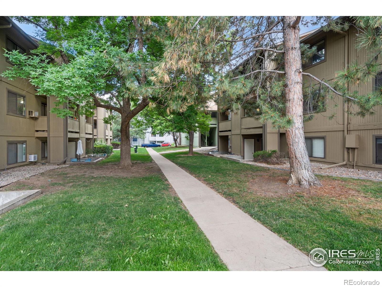 MLS Image #3 for 710  city park avenue,fort collins, Colorado