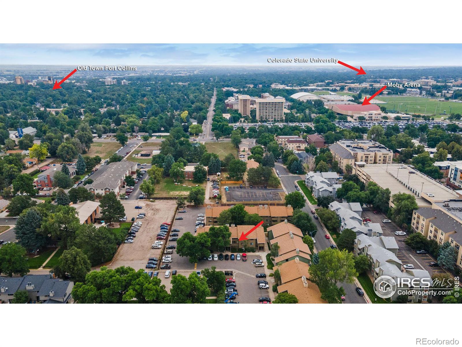 MLS Image #5 for 710  city park avenue,fort collins, Colorado