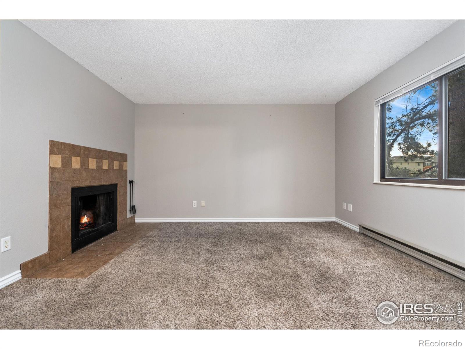 MLS Image #9 for 710  city park avenue,fort collins, Colorado