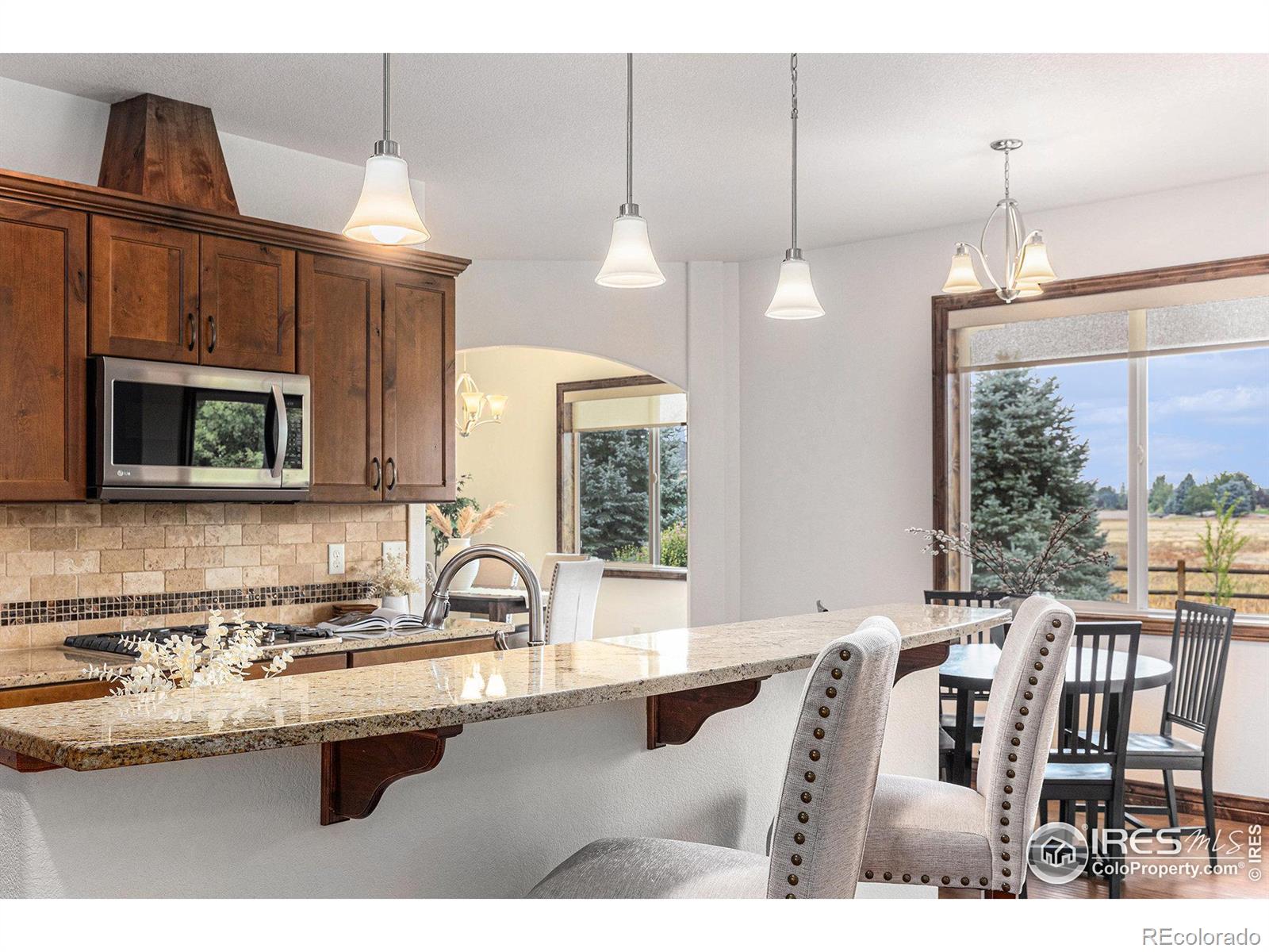 MLS Image #11 for 8213  cherry blossom drive,windsor, Colorado