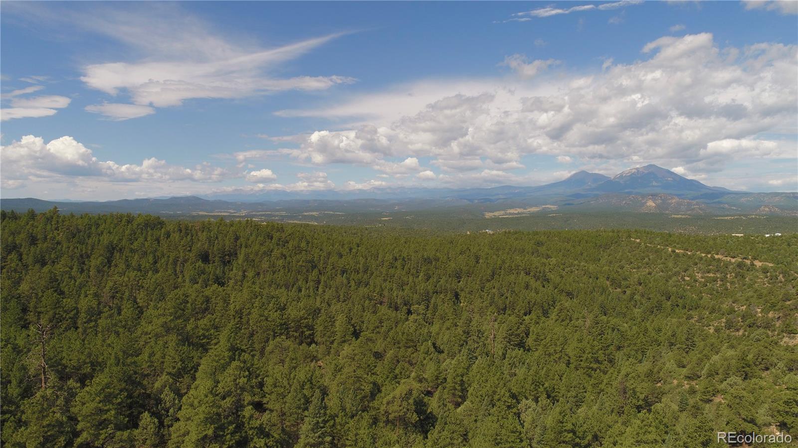 MLS Image #44 for 26660  peak view road,trinidad, Colorado