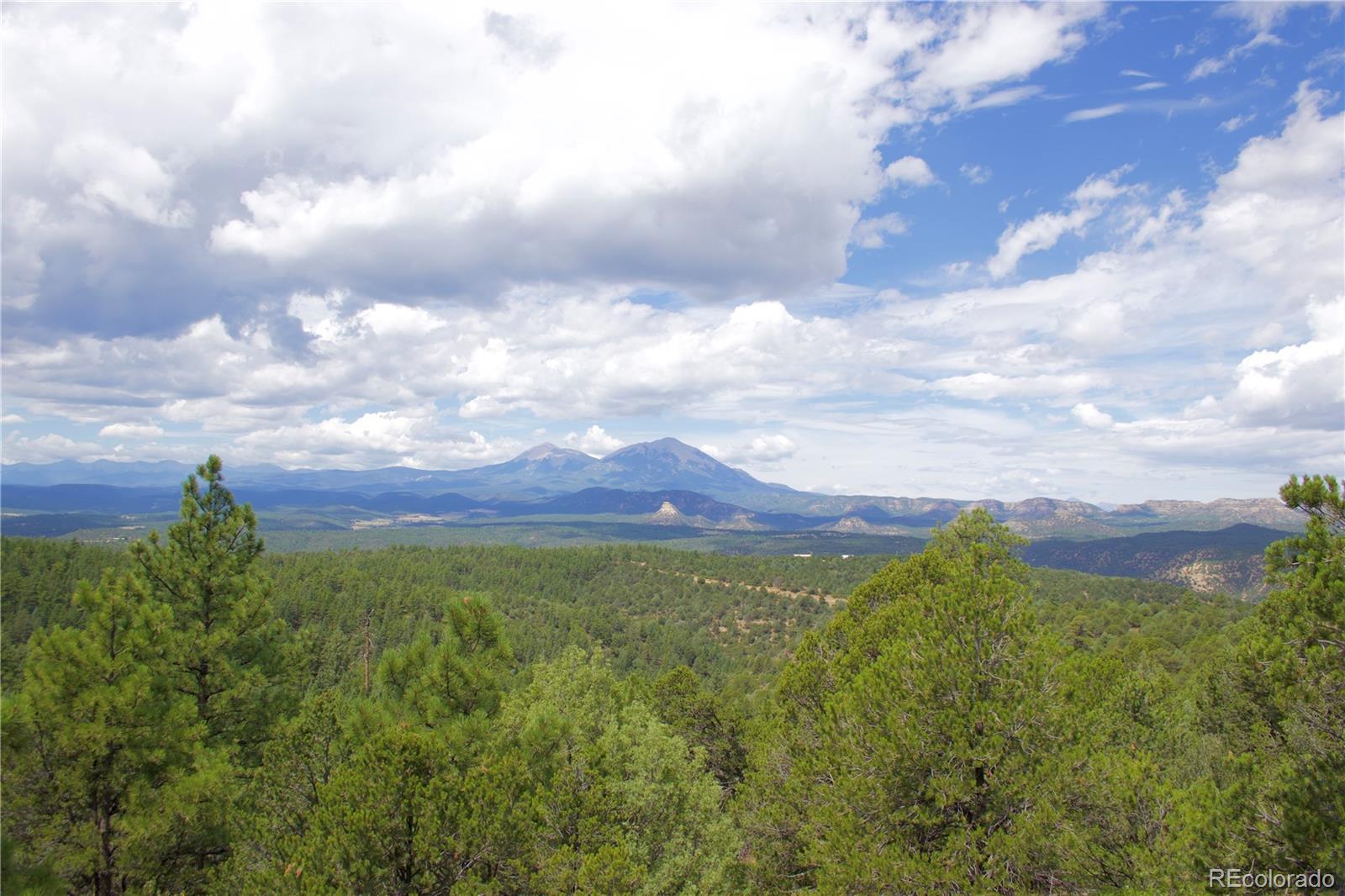 MLS Image #46 for 26660  peak view road,trinidad, Colorado