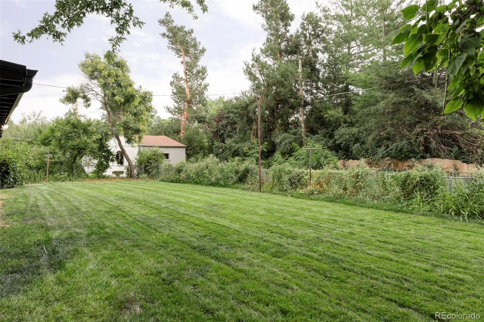 MLS Image #27 for 836 s glencoe street,denver, Colorado