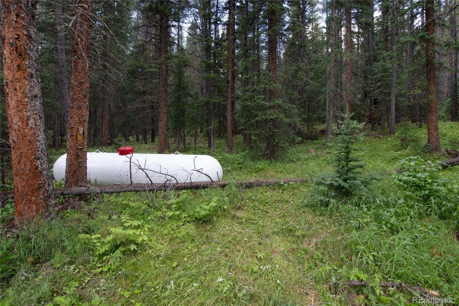 MLS Image #32 for 940  rainbow road,idaho springs, Colorado