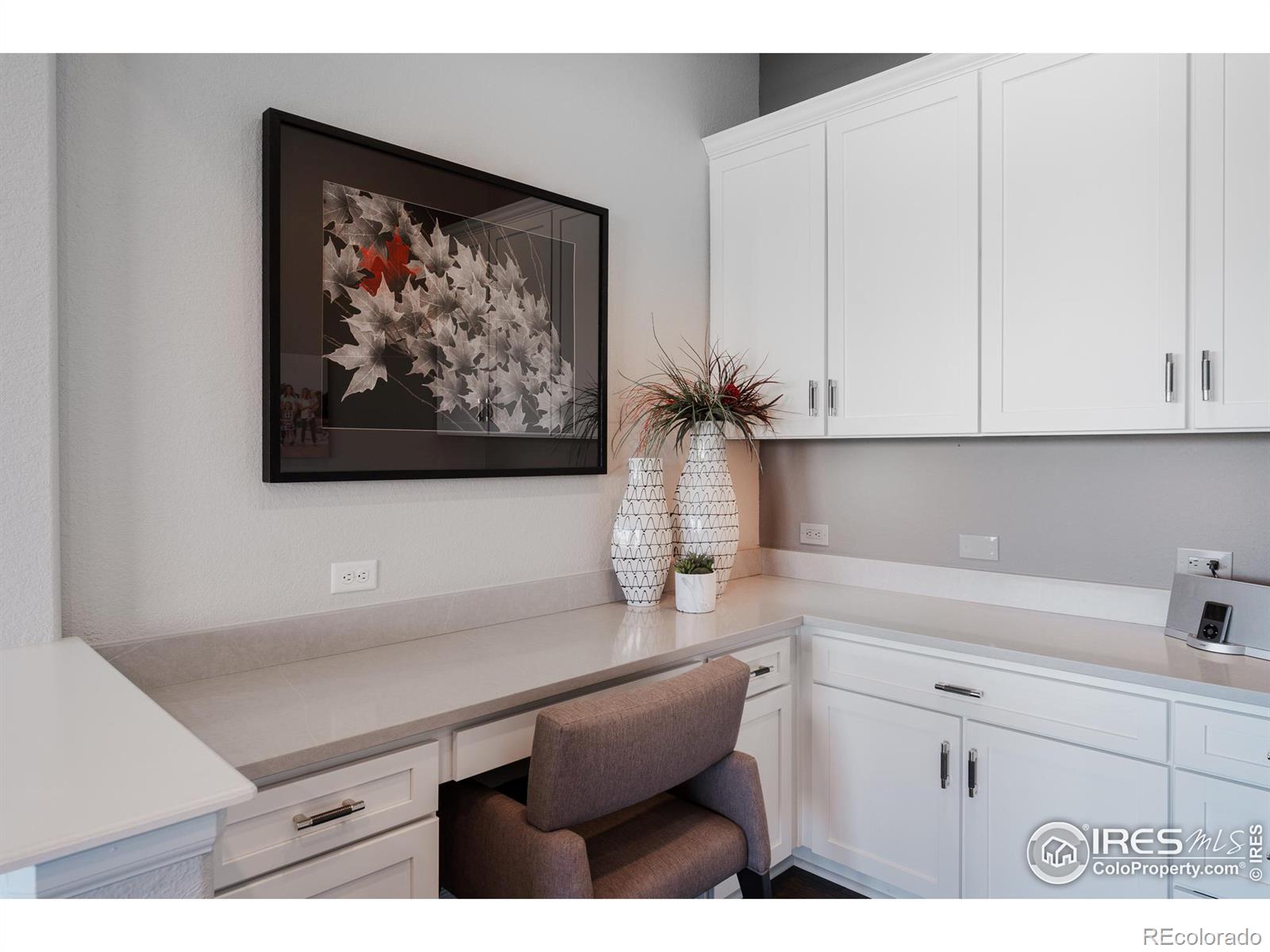 MLS Image #9 for 16171  mount oso place,broomfield, Colorado