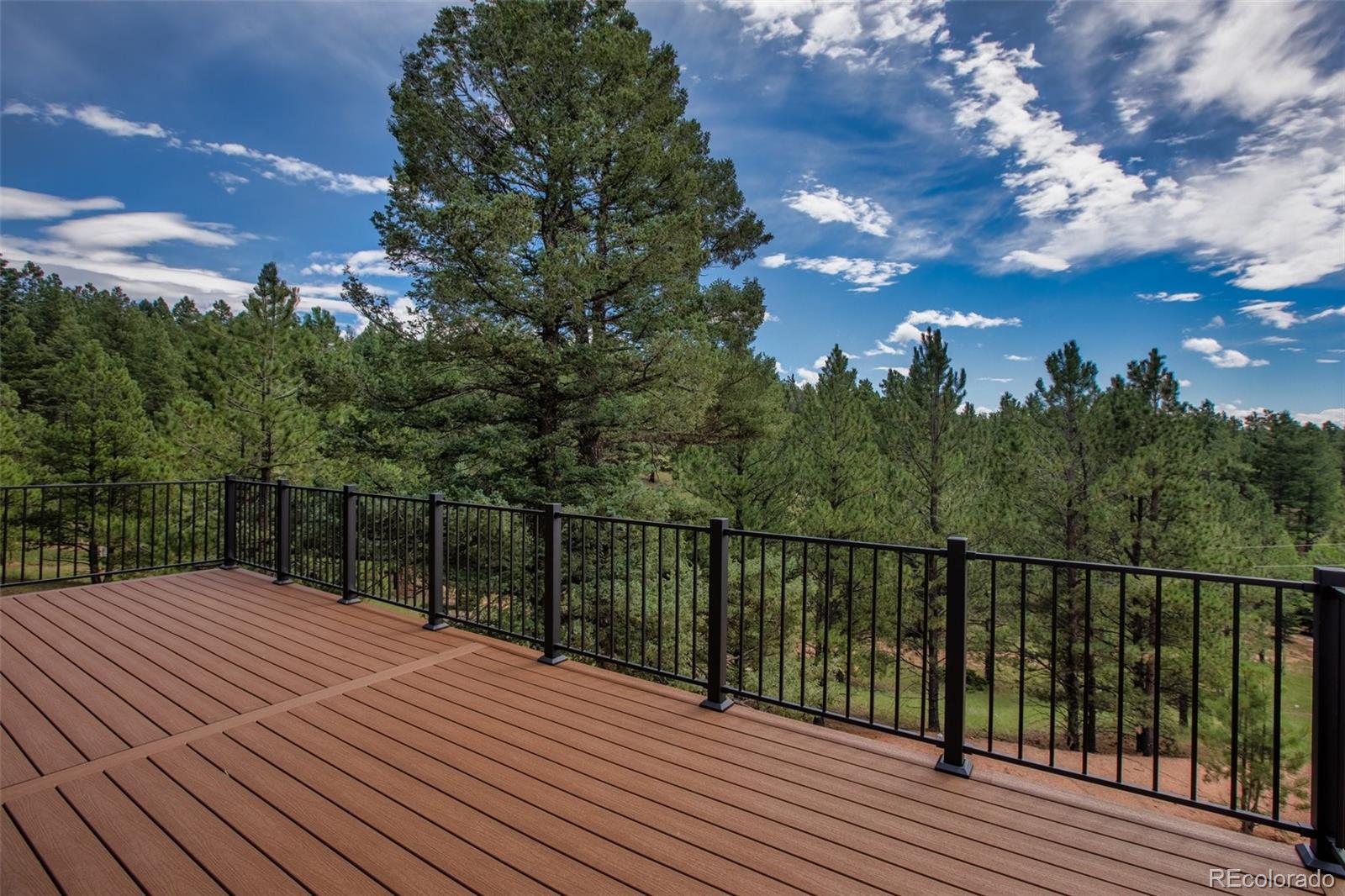 MLS Image #36 for 724  pinewood road,florissant, Colorado