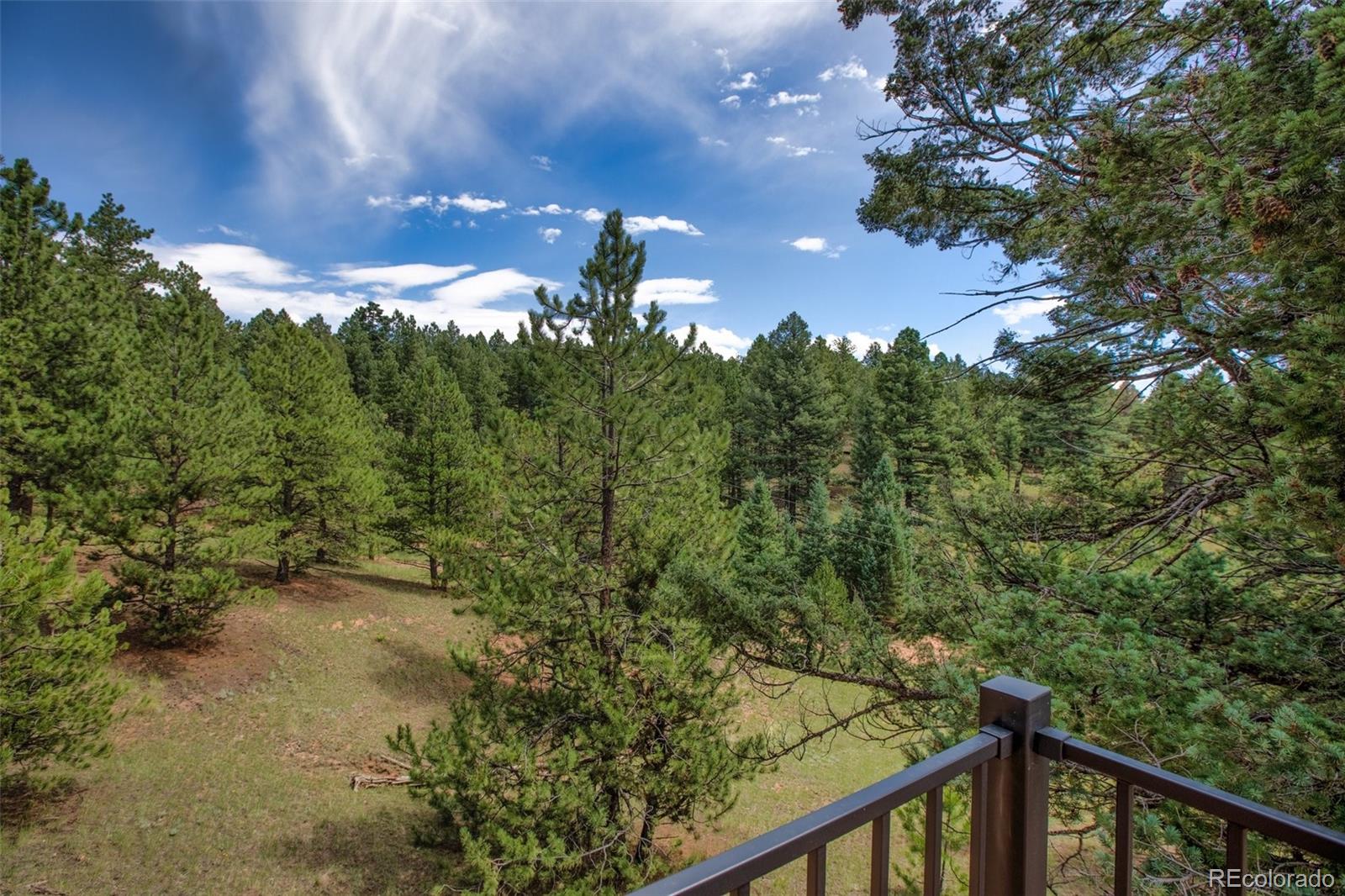 MLS Image #38 for 724  pinewood road,florissant, Colorado