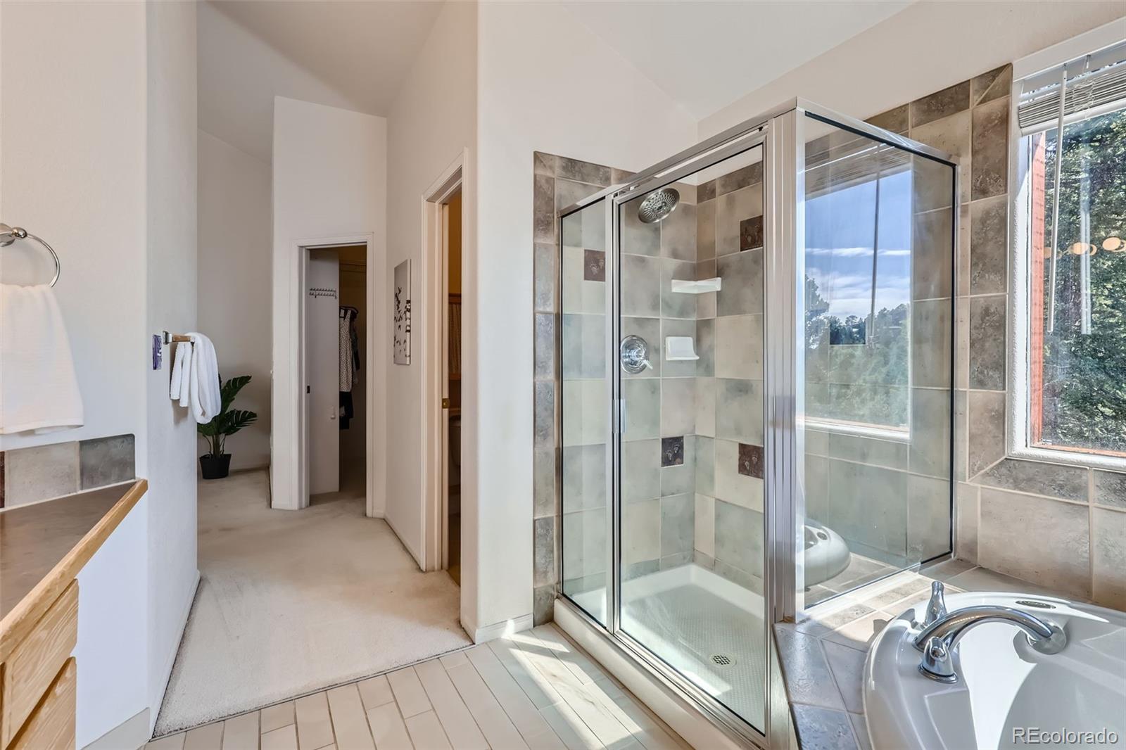 MLS Image #15 for 31524  kings valley drive,conifer, Colorado