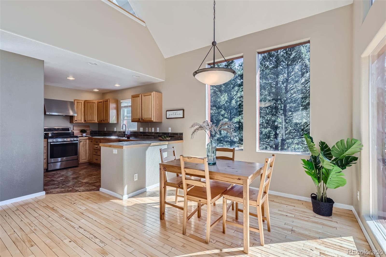 MLS Image #8 for 31524  kings valley drive,conifer, Colorado