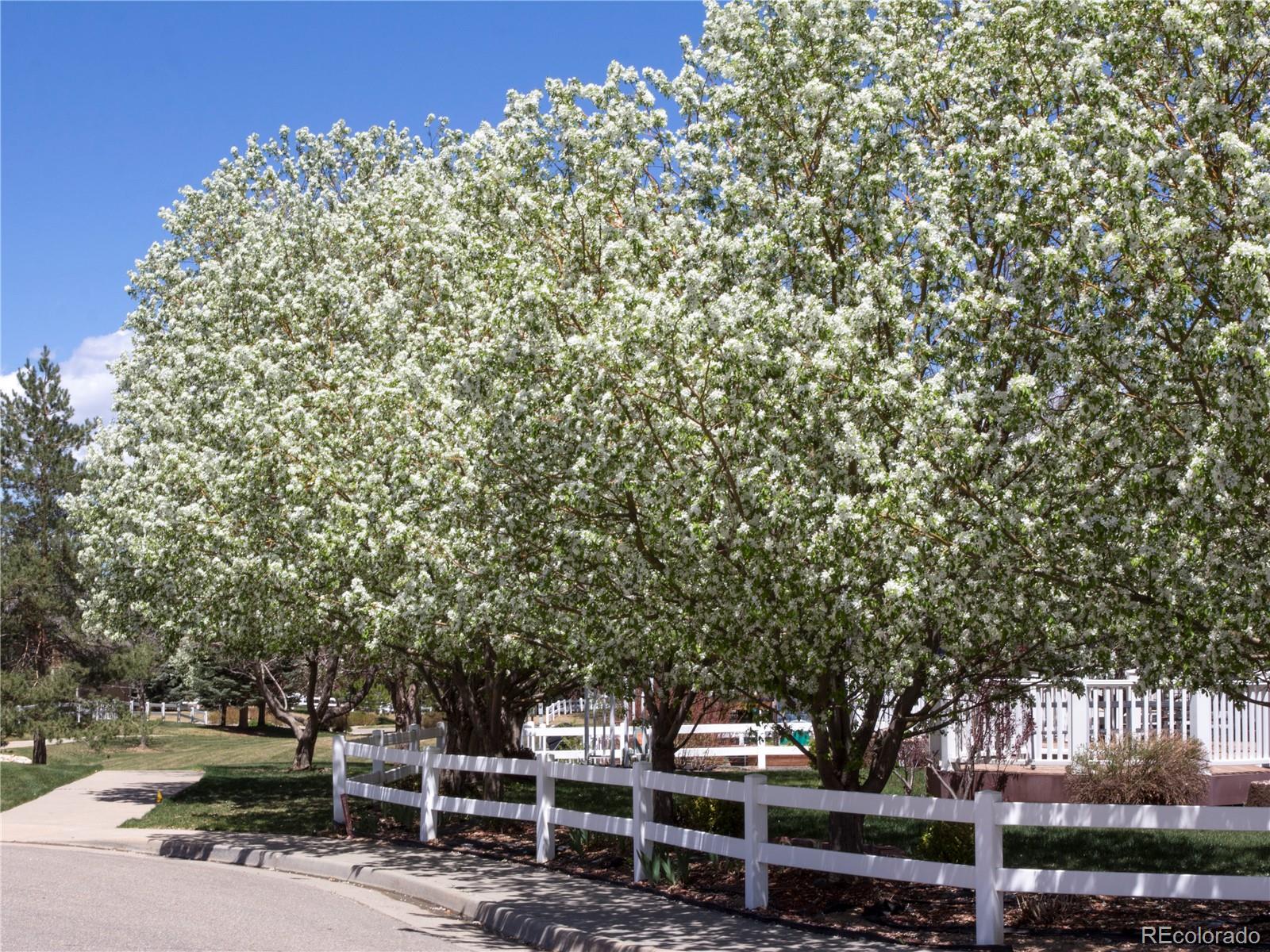 MLS Image #43 for 445  candelaria drive,loveland, Colorado