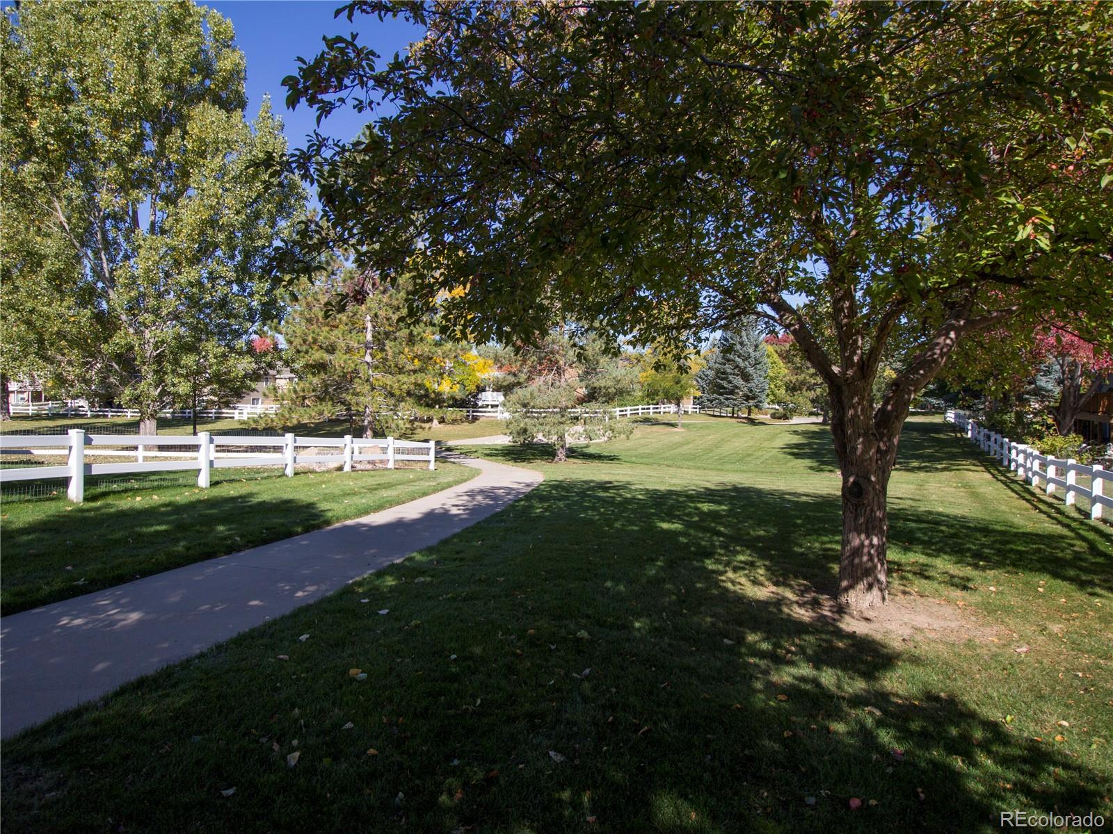 MLS Image #8 for 445  candelaria drive,loveland, Colorado