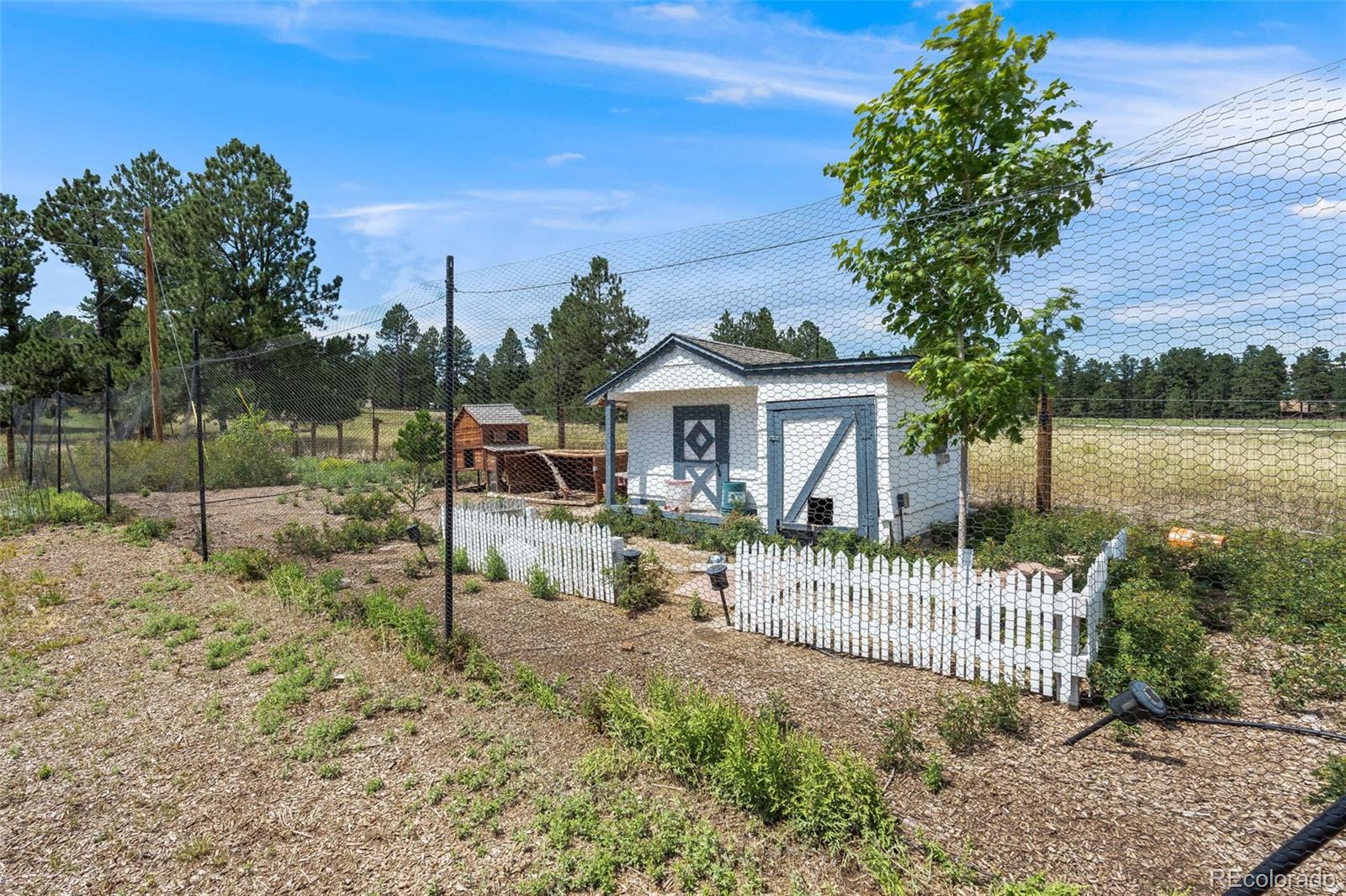 MLS Image #21 for 34863  county road 21 ,elizabeth, Colorado