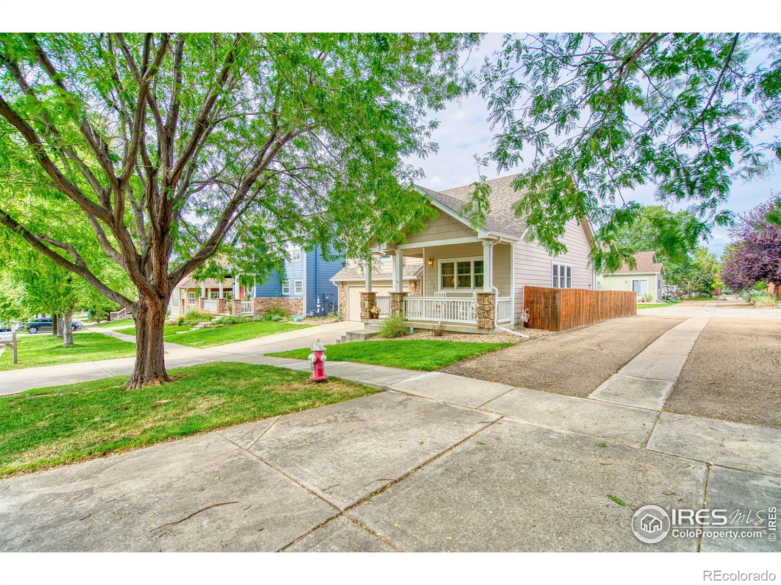 MLS Image #3 for 303  mill village boulevard,longmont, Colorado