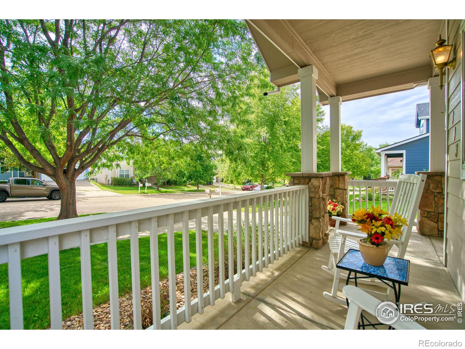 MLS Image #4 for 303  mill village boulevard,longmont, Colorado