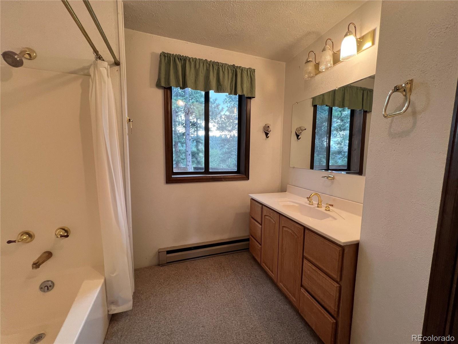 MLS Image #27 for 119  conifer drive,bailey, Colorado