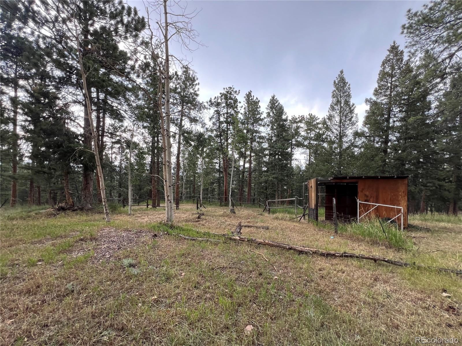 MLS Image #30 for 119  conifer drive,bailey, Colorado