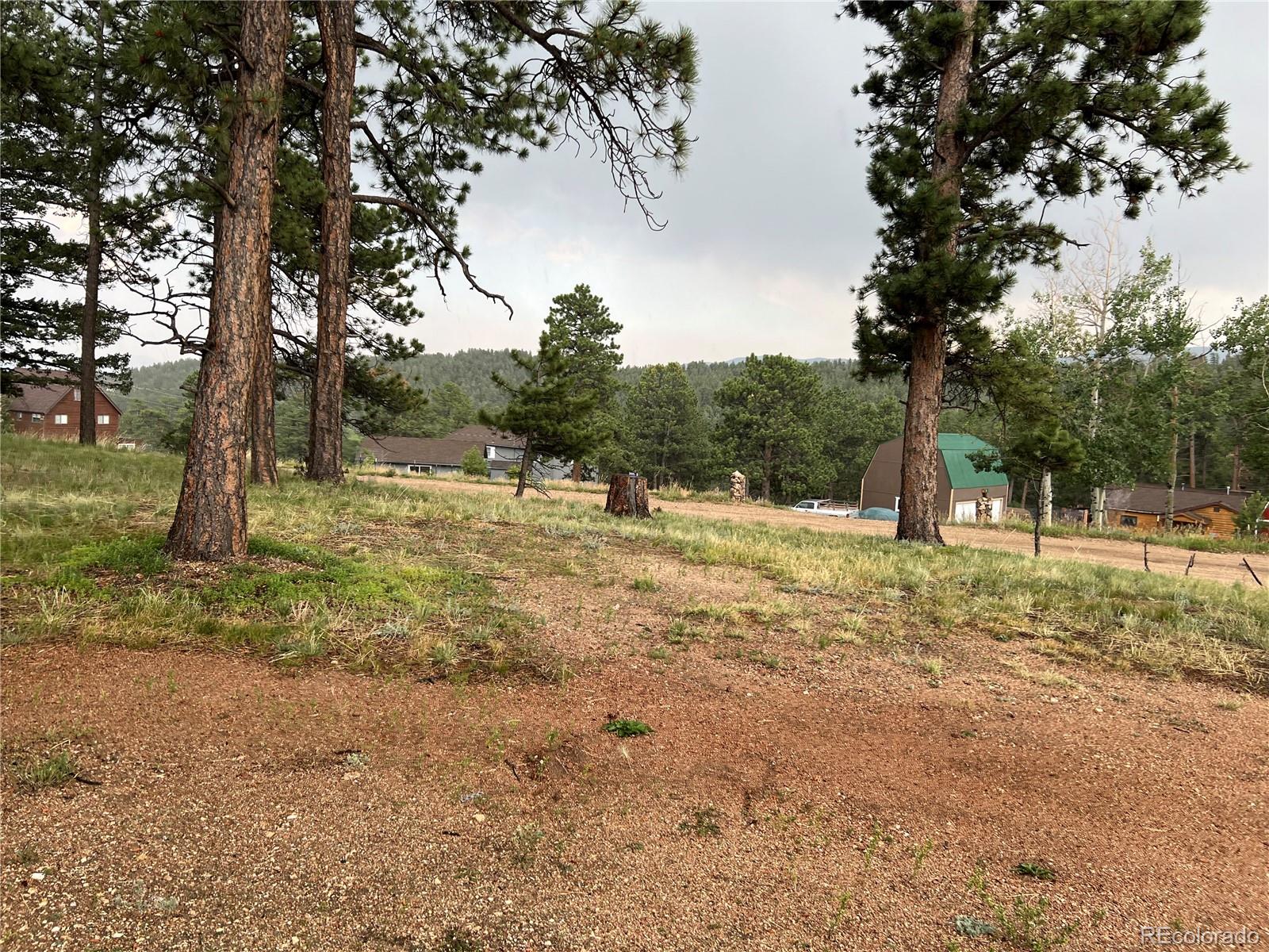 MLS Image #41 for 119  conifer drive,bailey, Colorado