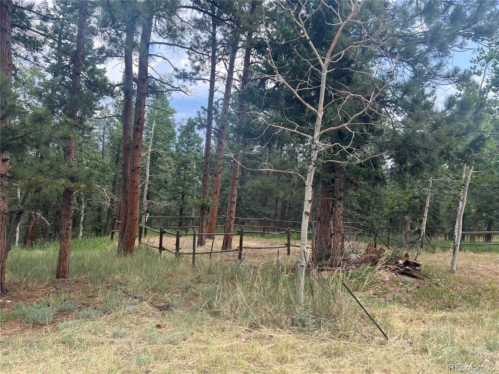 MLS Image #42 for 119  conifer drive,bailey, Colorado