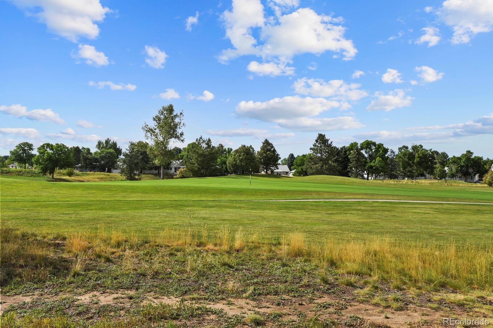 MLS Image #44 for 4  skye lane,highlands ranch, Colorado