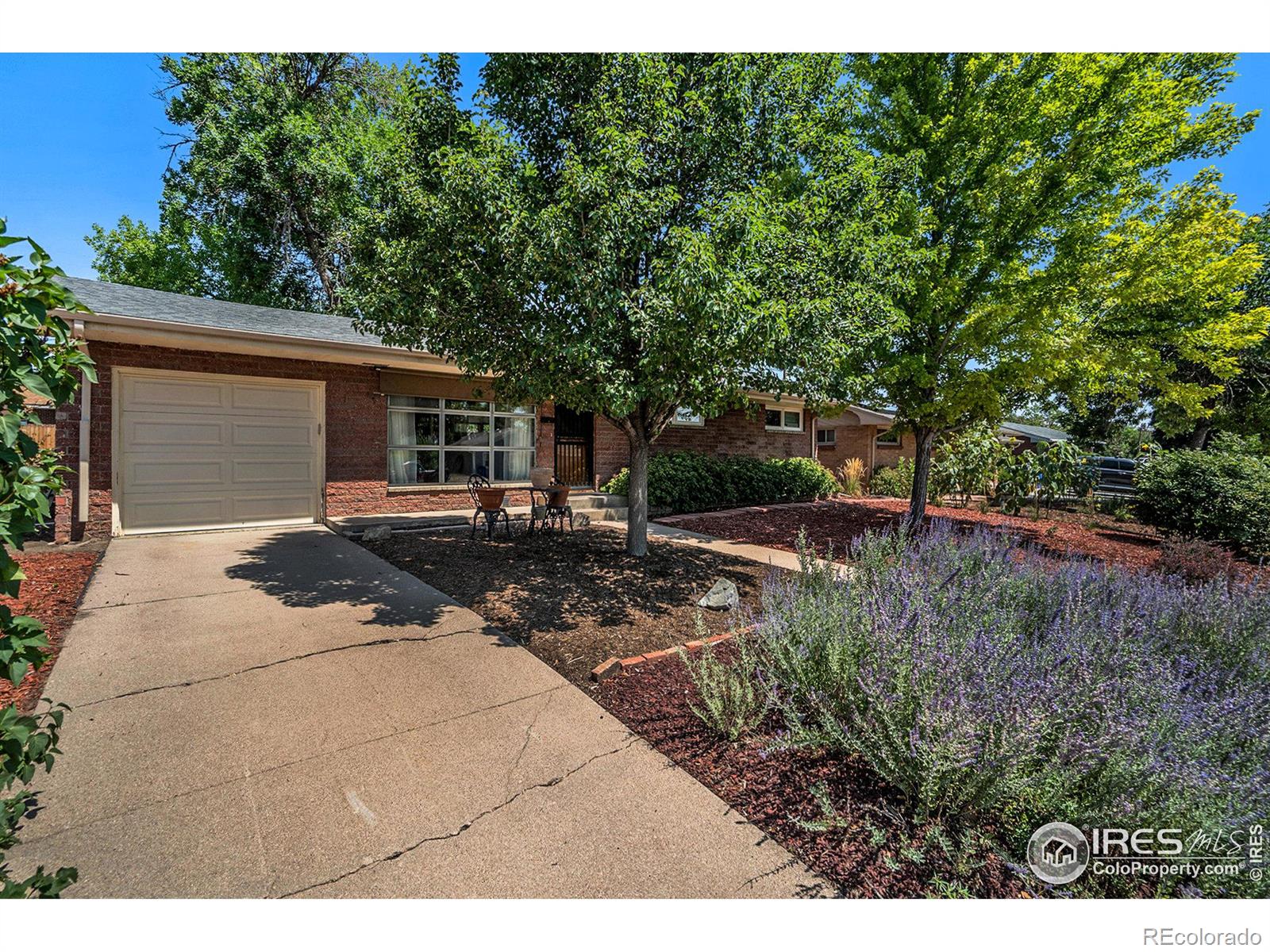 CMA Image for 2440  25th avenue,Greeley, Colorado